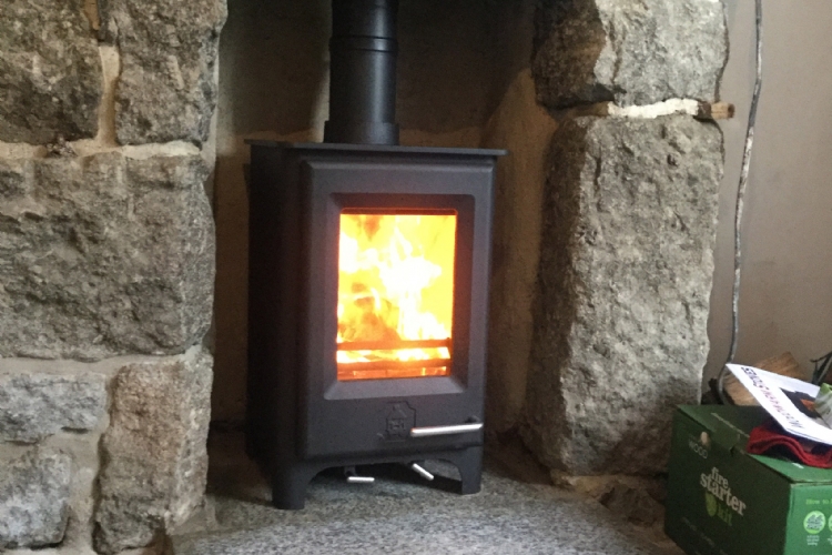 Woodwarm Firewren in a cosy cottage