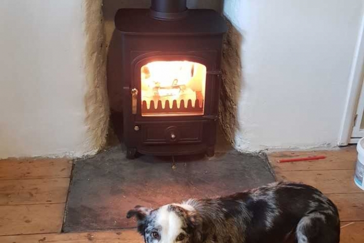 Clearview woodburner and the dog in Cornwall