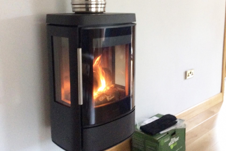 Wall mounted fire