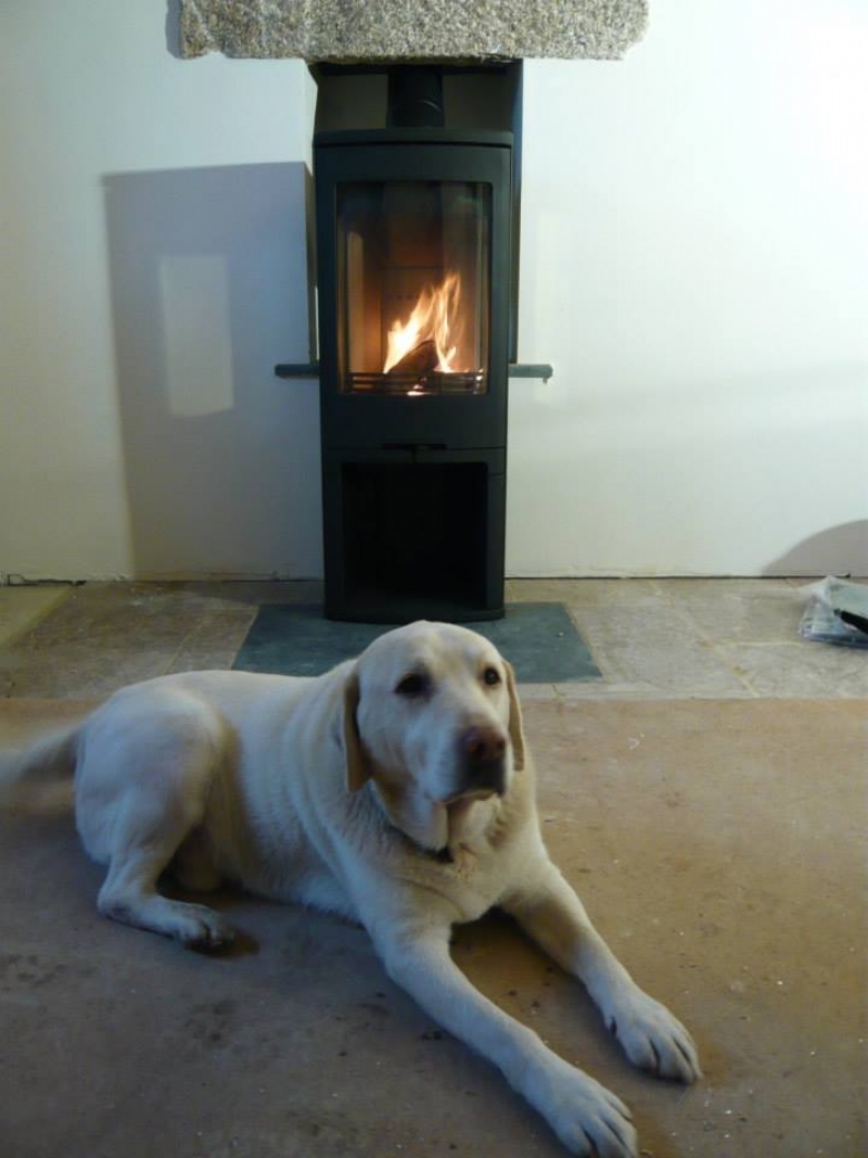 Contura 810 with dog