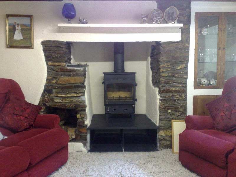 Woodwarm Fireview on a raised hearth