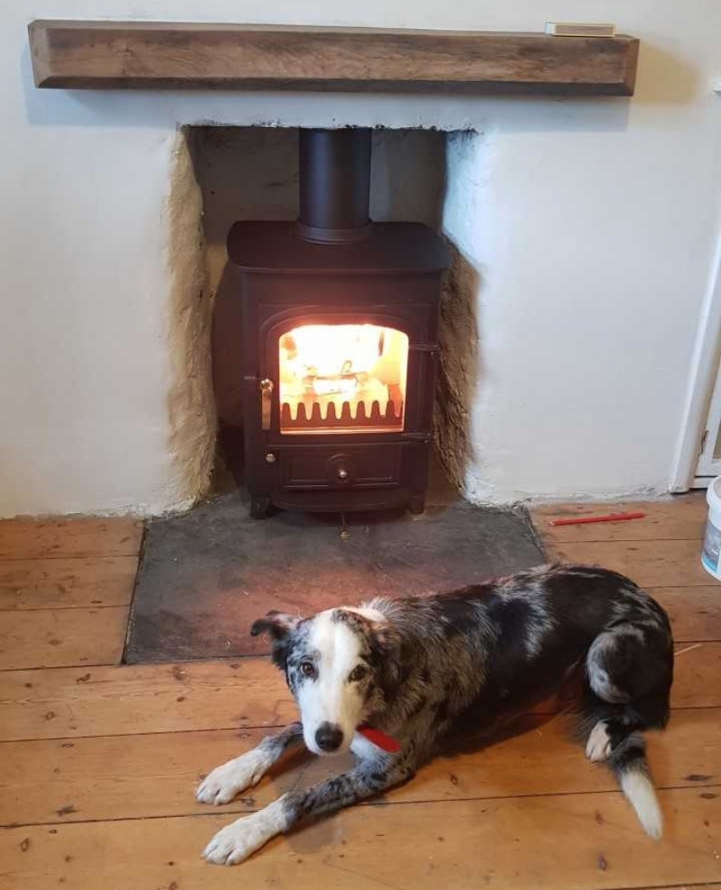 Clearview woodburner and the dog in Cornwall