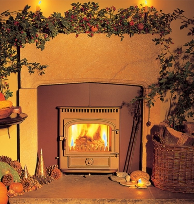 Clearview cornwall fireplace cornwall Vision Inset Woodburner Cornwall Wadebridge Redruth