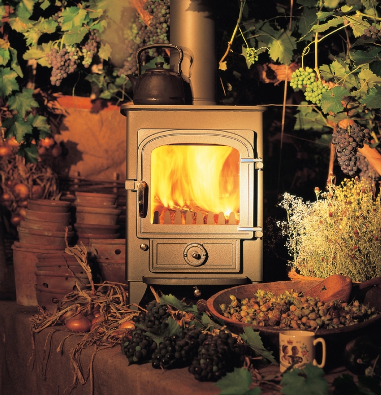 Clearview Pioneer Woodburner Cornwall Wadebridge Redruth